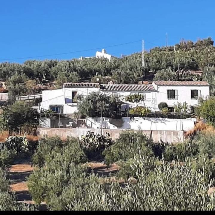 Cortijo El Cerro Apartment Alcaudete Exterior foto